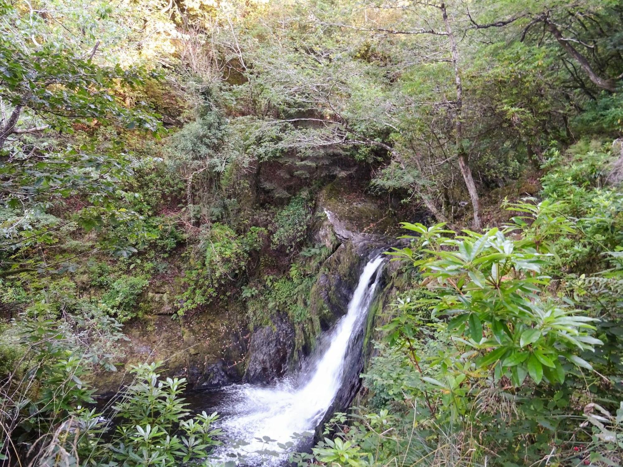 Glan Wye *