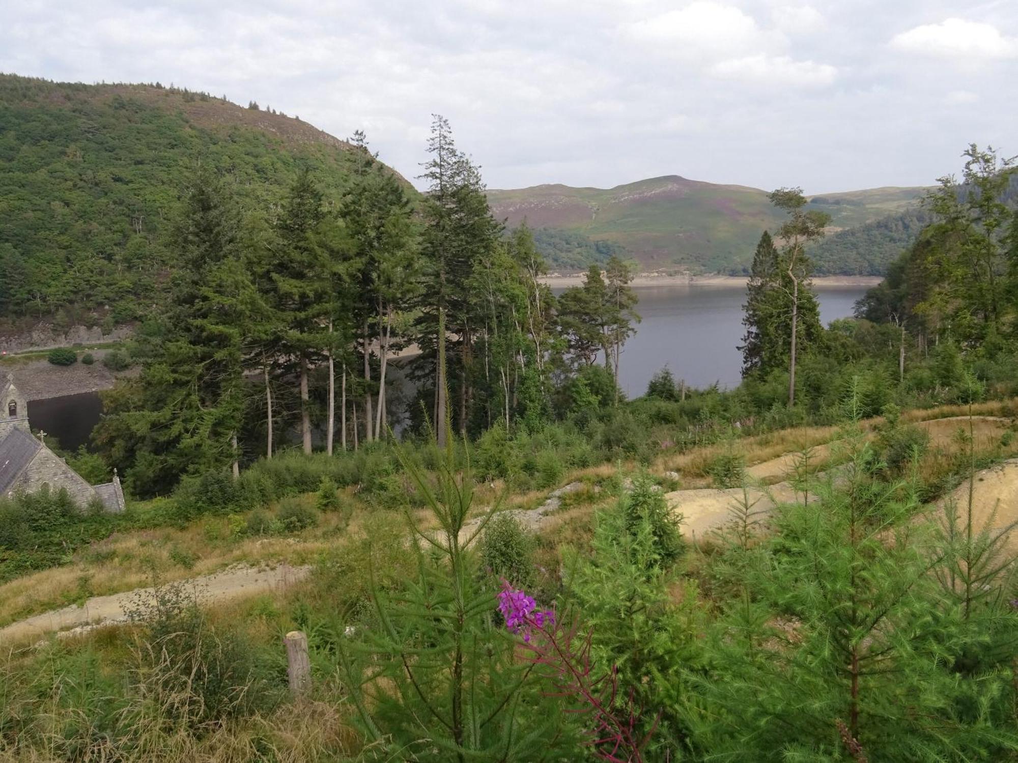Glan Wye Holiday home *